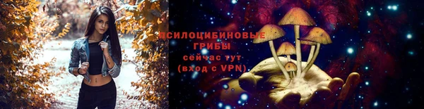 ешки Алзамай
