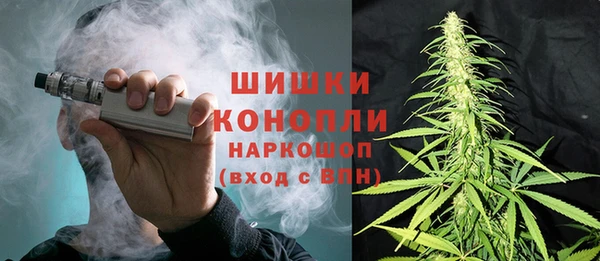 ешки Алзамай
