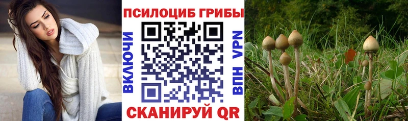 купить   Саров  ОМГ ОМГ рабочий сайт  Галлюциногенные грибы мицелий 