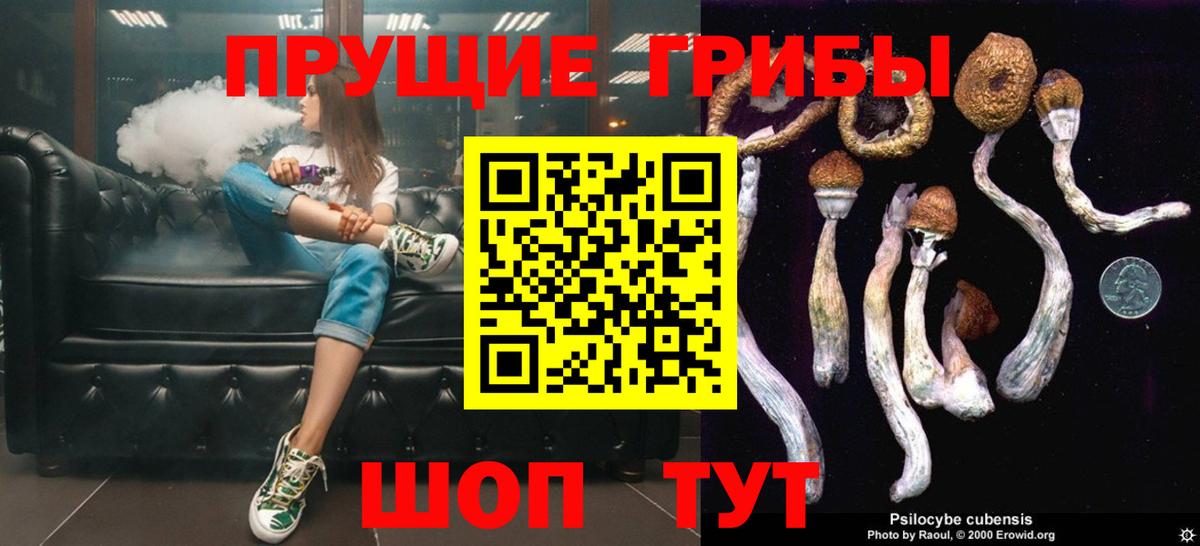 Псилоцибиновые грибы GOLDEN TEACHER Саров