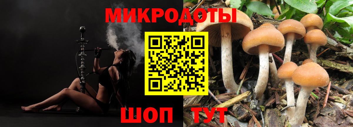 Саров  Псилоцибиновые грибы ЛСД  Вход с VPN 